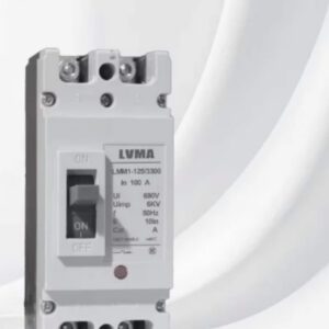 Disjoncteur industriel LVMA 100A